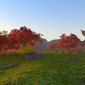 Japanese Temple