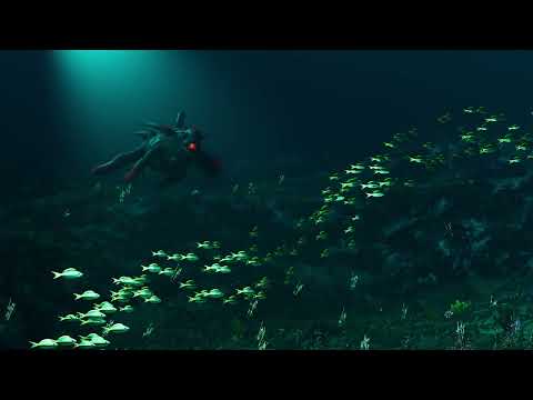 Animations
